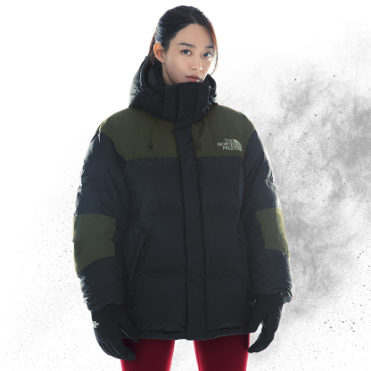 【THE NORTH FACE】SUMMIT PRO DOWN JACKET★正規品★